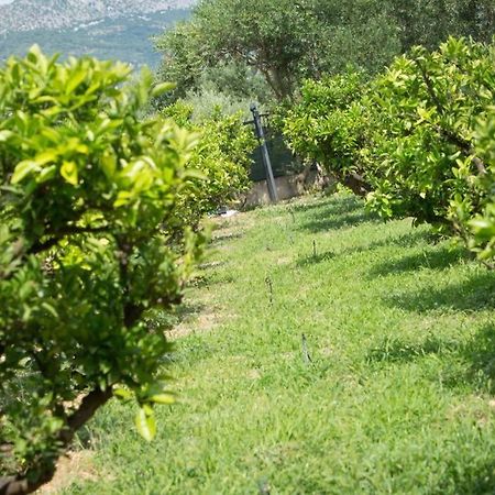 Lodge Jomi Kaštel Novi 外观 照片